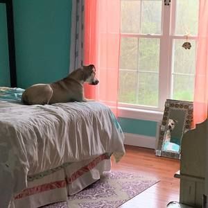 Meet your Posher, Erica